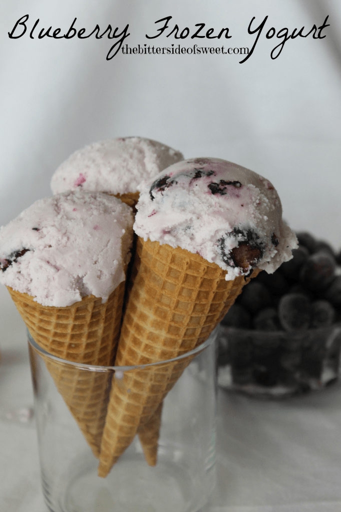 Blueberry Frozen Greek Yogurt via thebittersideofsweet.com Blueberry Frozen Greek Yogurt
