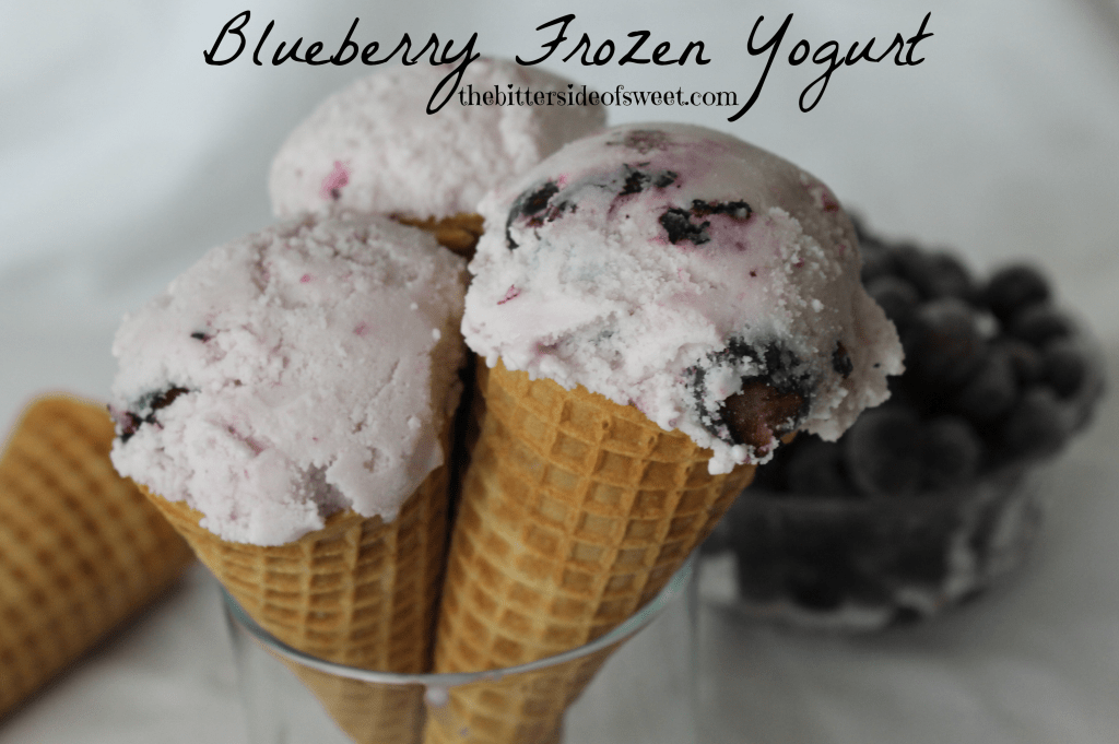 Blueberry Frozen Greek Yogurt via thebittersideofsweet.com Blueberry Frozen Greek Yogurt