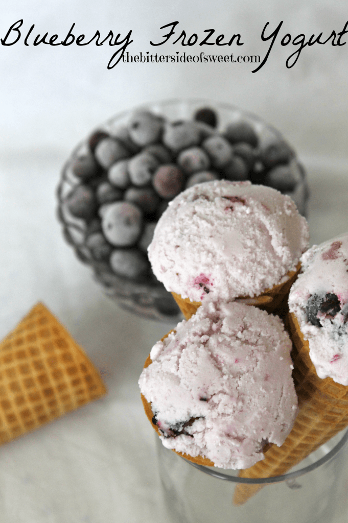 Blueberry Frozen Greek Yogurt via thebittersideofsweet.com Blueberry Frozen Greek Yogurt