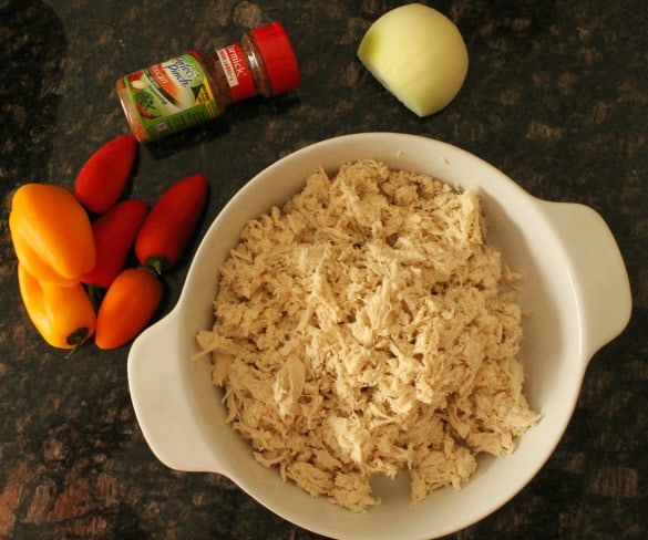 MexicanShredded Chicken 3