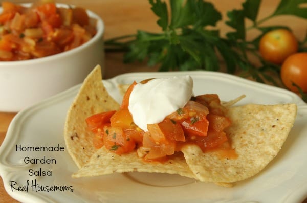 Homemade Garden Salsa 3 in content