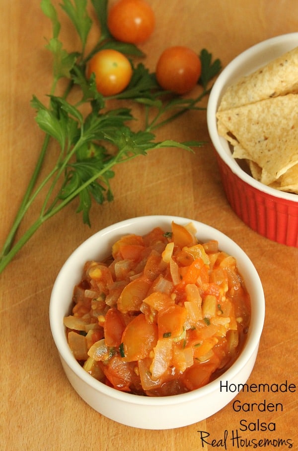 Homemade Garden Salsa Here Photo