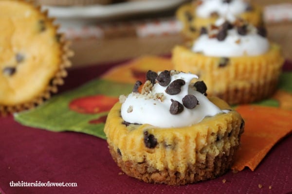 Chocolate Chip Pumpkin Cheesecake Bites | thebittersideofsweet.com Chocolate Chip Pumpkin Cheesecake Bites | thebittersideofsweet.com