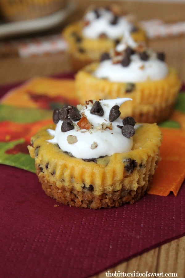 Chocolate Chip Pumpkin Cheesecake Bites | thebittersideofsweet.com Chocolate Chip Pumpkin Cheesecake Bites | thebittersideofsweet.com