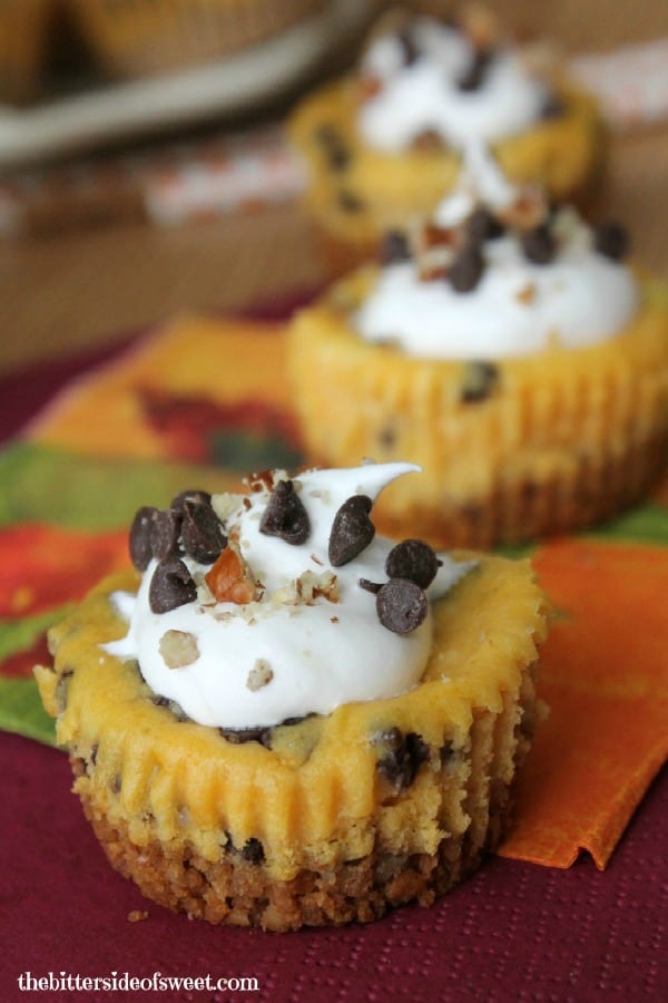 Chocolate Chip Pumpkin Cheesecake Bites | thebittersideofsweet.com Chocolate Chip Pumpkin Cheesecake Bites | thebittersideofsweet.com