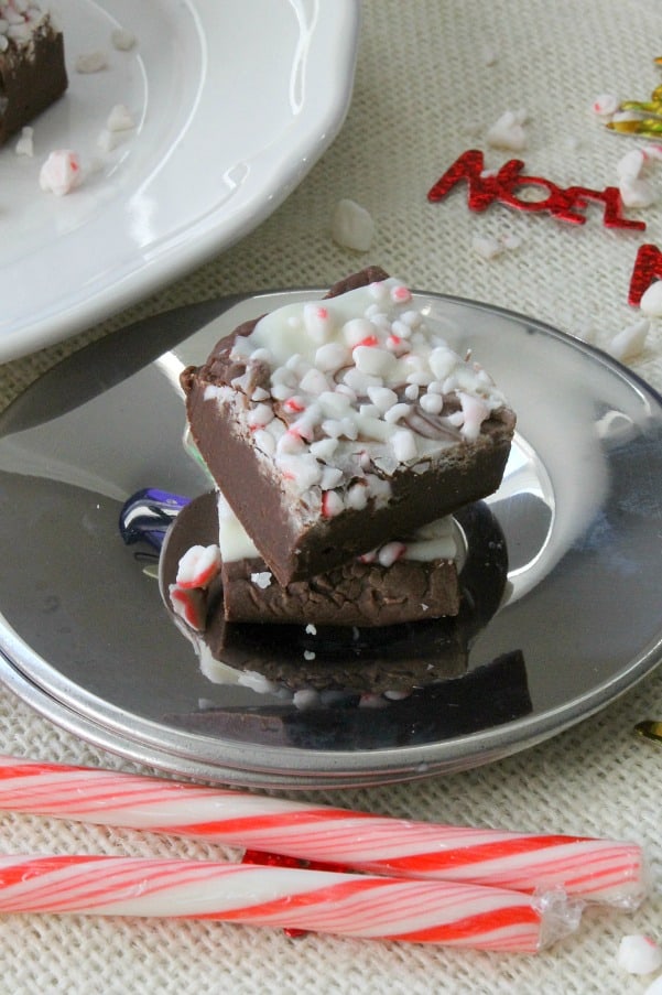 Peppermint Fudge - The Bitter Side of Sweet