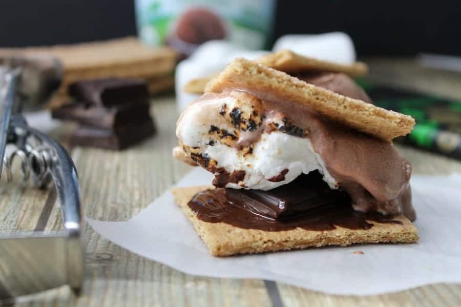 Mint Chocolate Frozen Yogurt S'mores - The Bitter Side of Sweet