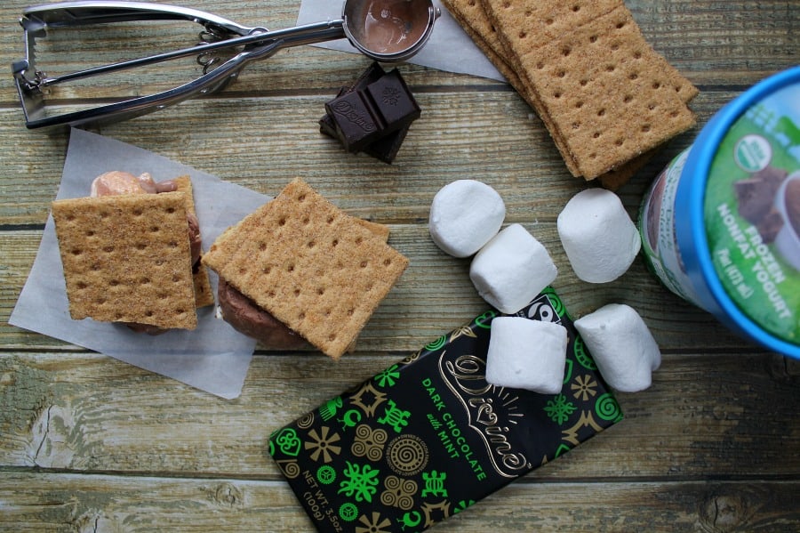 Mint Chocolate Frozen Yogurt S'mores - The Bitter Side of Sweet