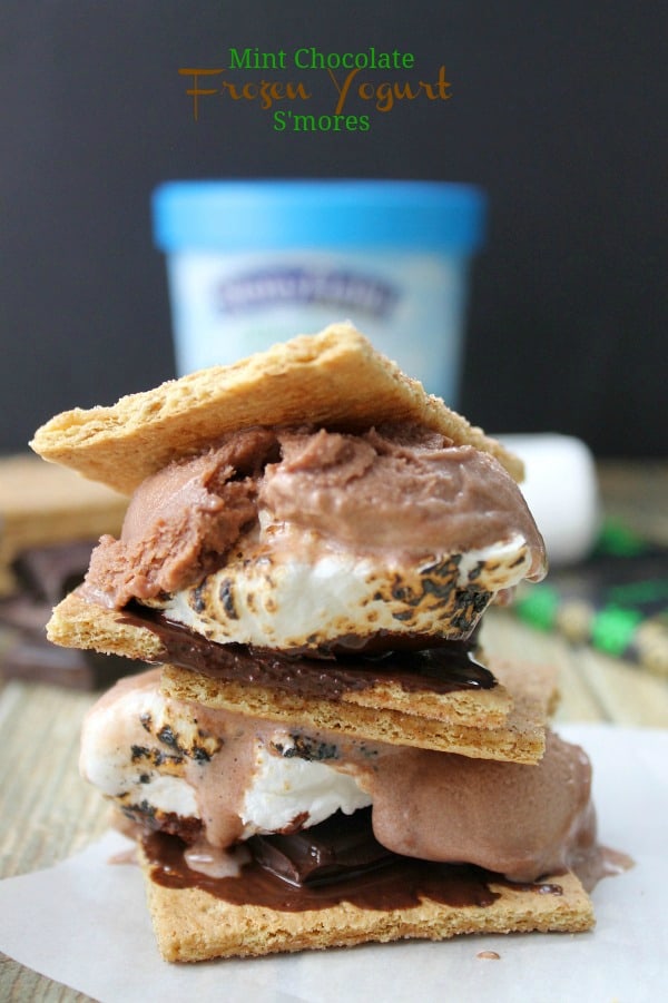 Mint Chocolate Frozen Yogurt S'mores - The Bitter Side of Sweet