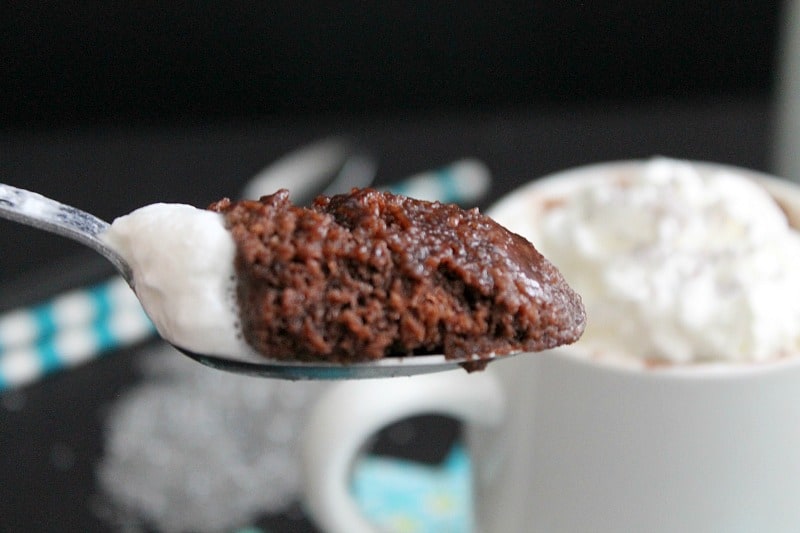 Chocolate Espresso Mug Cake | The Bitter Side of Sweet #SummerCravings #stonyfieldblogger #prAna