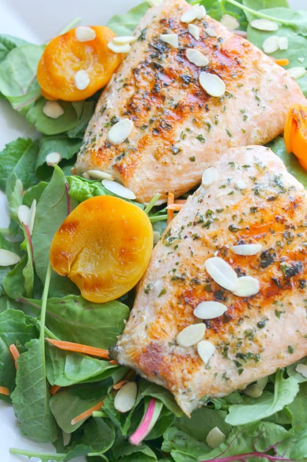 Grilled Salmon Salad with Apricot Dressing | The Bitter Side of Sweet