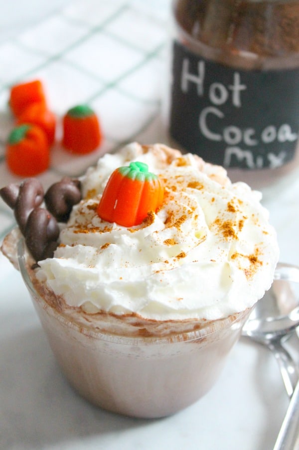 This easy homemade Pumpkin Cinnamon Hot Chocolate recipe will warm you up while giving in to your chocolate and pumpkin cravings! | The Bitter Side of Sweet Pumpkin Cinnamon Hot Chocolate