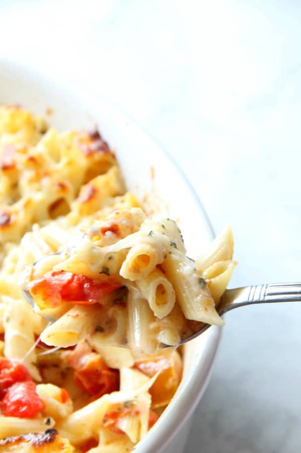 This Cheesy Tomato Pasta Bake is an irresistible casserole the whole family will nosh! It's vegetarian-friendly, and oh so good. Look at that bubbly cheese. Cheesy Tomato Pasta Bake in white bowl