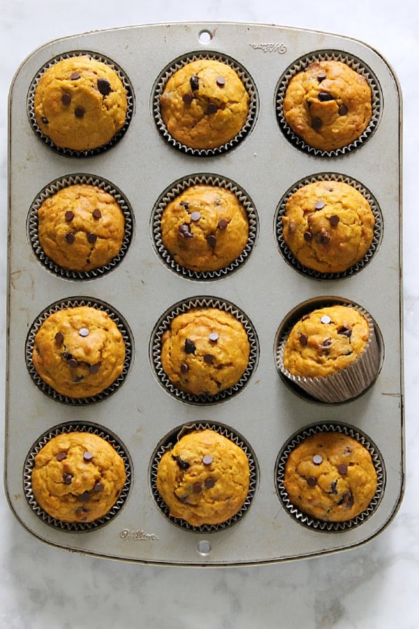 Start your morning off with these Chocolate Chip Pumpkin Muffins! Perfect for a grab and go breakfast! They freeze well too! Chocolate Chip Pumpkin Muffins in muffin tin