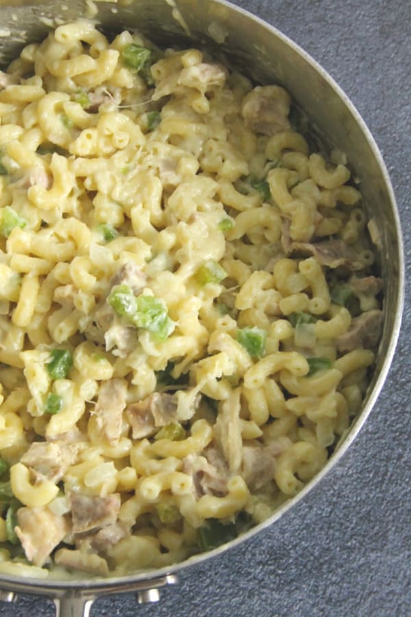 Easy to make Leftover Turkey Pasta! Creamy, delicious with add veggies and the perfect way to make reuse leftovers for an easy dinner! Leftover Turkey Pasta in pan