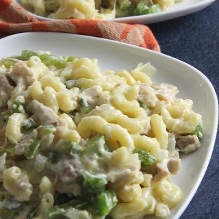 Leftover Turkey Pasta on white plate