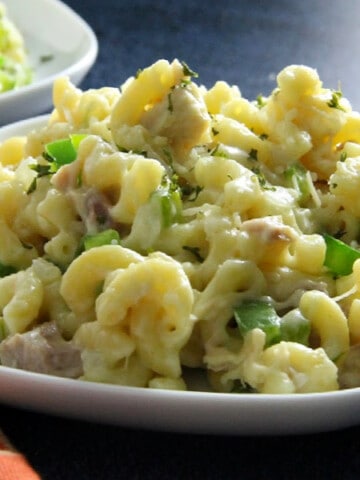 Leftover Turkey Pasta on white plate