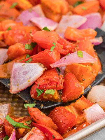 roasted tomatoes on spatula